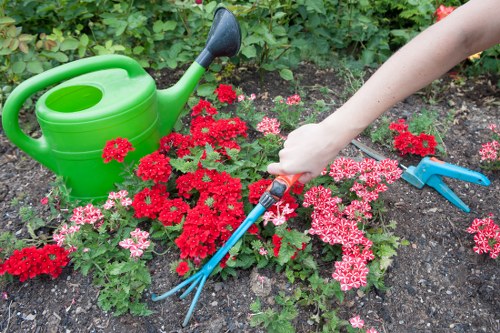 Checklist of common tree surgery complaint issues