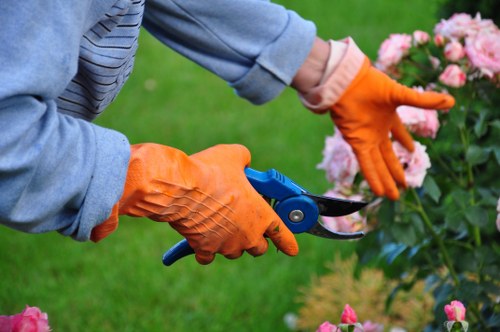 Controlled tree removal service with waste clearance