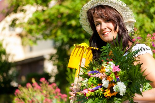 Inclusive web browsing for tree surgeons in the Pinner area