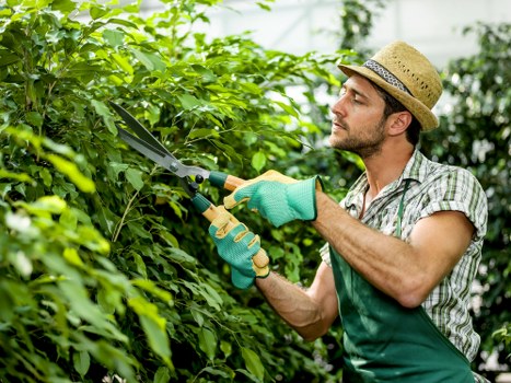 PCI compliant payment system for tree surgery services