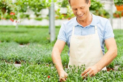 Supplier audit process for tree surgery business compliance