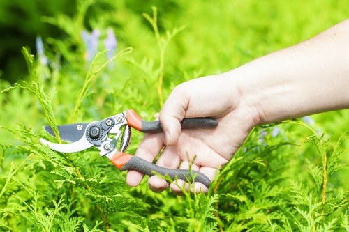 Trusted payment methods for Tree Surgeons Pinner tree services