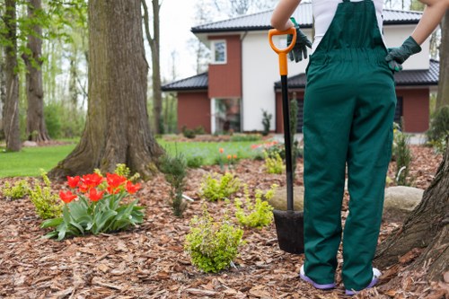 Professional tree surgery work in a residential Pinner landscape