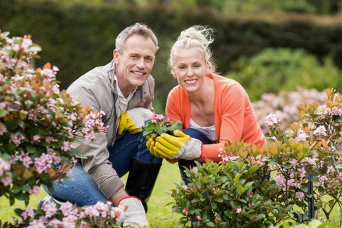 Risk assessment and safety planning before tree surgery in Pinner
